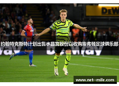 约翰特克斯特计划出售水晶宫股份以收购埃弗顿足球俱乐部